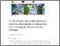 [thumbnail of Leiden Metrix - español.pdf]