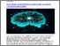 [thumbnail of 2025IlBoLive2025_Brevetti universitari e innovazione tra USA.pdf]