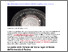 [thumbnail of Le oselle dell.pdf]